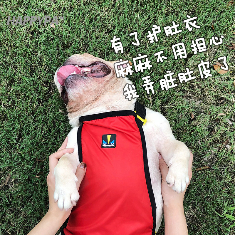 Pet belly protector original corgi method belly protector clothes waterproof and anti-cool coat raincoat autumn and winter warm apron