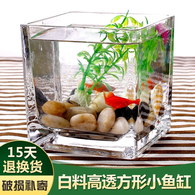 Square fish tank transparent glass hydroponic plant small goldfish tank living room mini tank desktop desk small fish tank