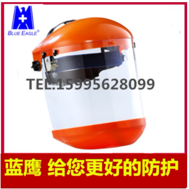 BLUE EAGLE Blue Eagle Labor Protection Supplies B1 Series Industrial Protection Mask Anti-splash