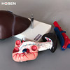 Liver, Pancreas, Duodenum Model, Liver, Gallbladder, Pancreas, Spleen, Human Abdominal Viscera, Digestive System, Internal Medicine Teaching, Medicine