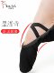 Danshige Dance Shoes with Soft Soles for Practice, Boys and Adults, Classical Style Dance Shoes, Ballet Shoes
