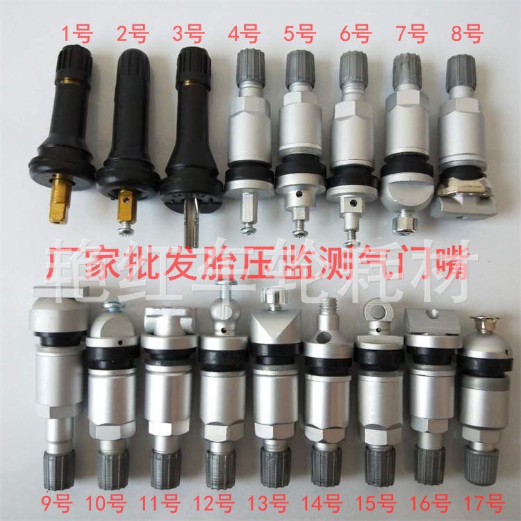 KIA Land Rover BYD Harvard BMW Hyundai tire pressure sensor monitoring special valve tire valve