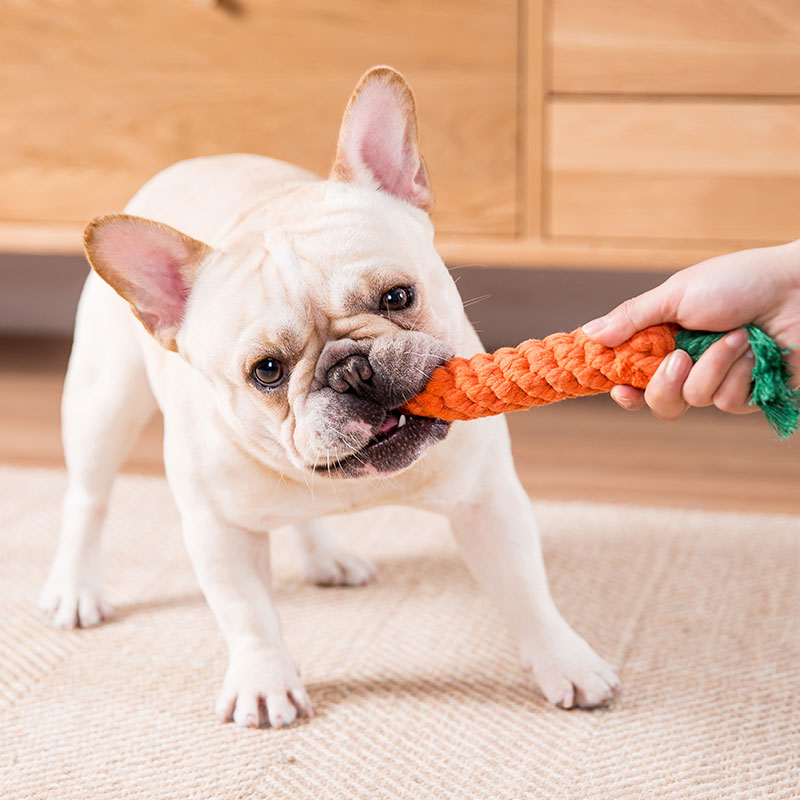 French fighting dog toy ball molar bite-resistant puppy selling cute rope knot pug dog biting rope training to relieve boredom pet supplies