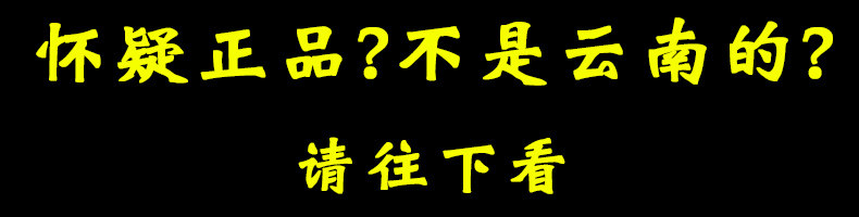 Shan Shan Head.jpg