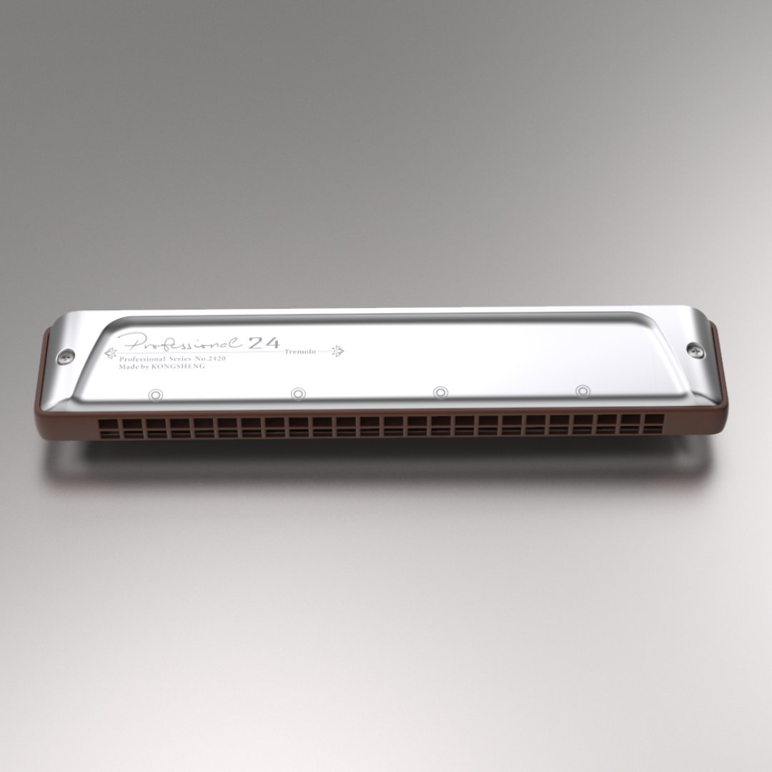 24 holes harmonica Senior adult professional playing grade hole sound resound harmonica musical instrument 2420