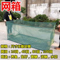 Net Cage Breeding Net Special Fish Cage Fishing Net Breeding Shrimp Mud Loach Yellow Eel Breeding Cage Small Lobster Anti-Escape Cage
