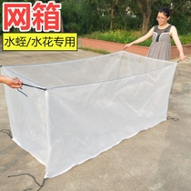 Fishing Net Cage Breeding Net Special Small Breeding Nets Fish Fry Leech Water Flowers Aquatic plastic fish web 80 mesh with lid