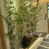 Симуляция бамбука в помещении и на открытом воздухе расрея