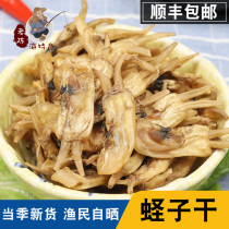 Fujian specialty razor clams dry dry goods Sand-free razor clams Premium live razor clams dry dry goods 500g razor clams dry fresh