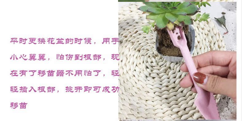 Cấy mọng nước, cấy hoa, thiết bị cây giống, dụng cụ làm vườn, máy đục lỗ hai mảnh - Nguồn cung cấp vườn vòi phun tưới cây