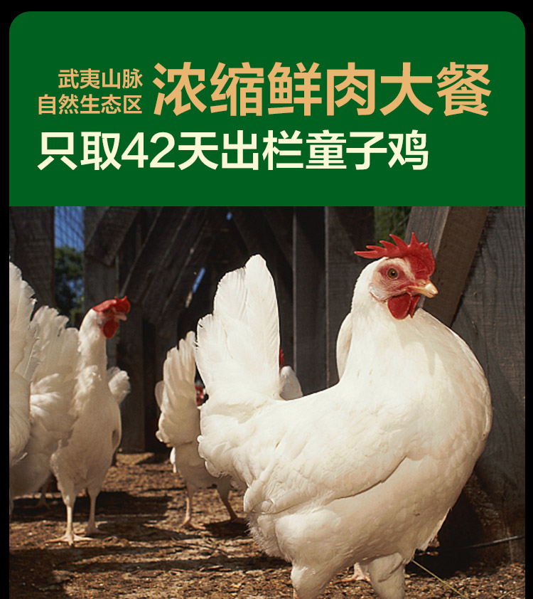 网易天成全价冻干生骨肉三拼猫粮成猫幼猫全价冻干猫粮