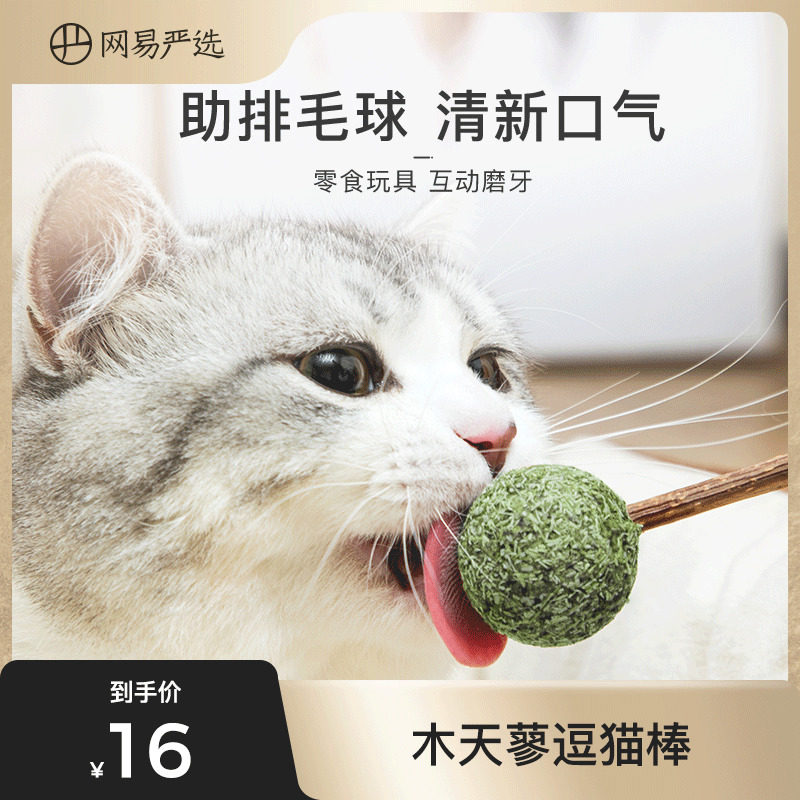 Netease strictly selected wood polygonum funny cat stick Cat toy Self-hey cat molar stick Mint ball Tooth cleaning cat ball tease cat