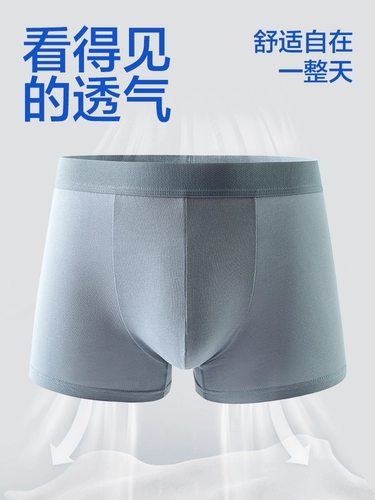 Трусы, антибактериальный комфортный дышащий вкладыш