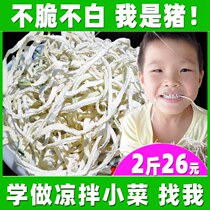 Papaya Silk Dry 500g Guangxi Horizontal County Special Production Sauce Vegetable Green Papaya Strips Dry Farmhouse Homemade Bulk Papaya