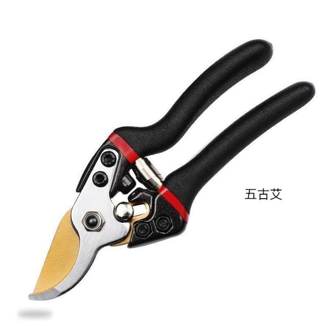 ນຳເຂົ້າ SK5 steel pruning scissors branch shears fruit branch flower shears fruit tree scissors ສວນເຮັດສວນ ມີດຕັດ ສາຂາຫນາ shears