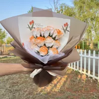 Нишевый ветер 11 бали солнечный закат апельсины
