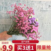 Dried flower bouquet Home decoration Small fresh living room bedroom Yunnan forget-me-not starry lover grass real flower decoration