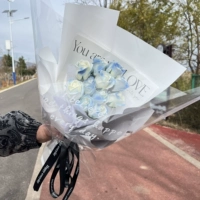 Ins Wind Oppo Film 11 Crusmed Ice Blue