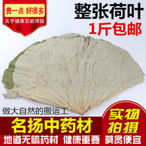 Lotus leaf Weishan Lake large whole dried lotus leaves 500g bulk fresh lotus leaf rice lotus leaf chicken tea powder winter melon rind