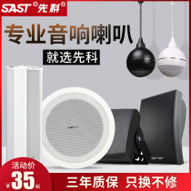 Xenko SA-01 wireless ceiling ceiling wall speaker hanging ball Audio waterproof sound column ceiling speaker embedded