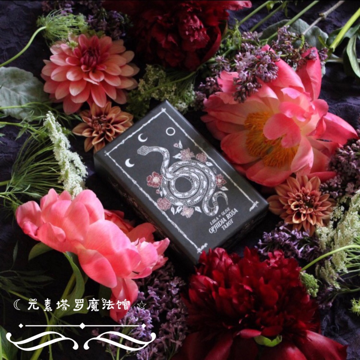 Imported Pophidia Rosa Tarot Snake Eyes of the Roses Roses