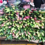 9,9 Бесплатная доставка духи лилия цветы Yunnan Base Direct Оптовая подсолнечная пачка Домохозяйство водных цветов.