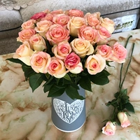 Отправляйте/айша 18 ветвей+2 ветви анти -лосс+доставка питательных растворов