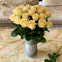 Шампанское/Желтая роза (случайным образом отправьте одну) 18 ветвей+2 филиала анти -лосного+доставки питательных вещественных растворов