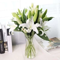 10 белых лилий+дают раствор питательных веществ с травой+доставка