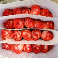 Румяна с розой в составе, питательный раствор, 20 шт