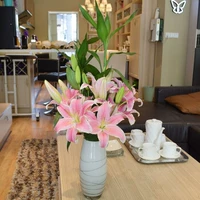 10 розовая розовая лилия