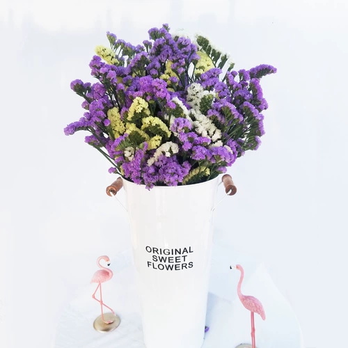 Цветок Юньнань Прямые волосы, забудь меня, сушеные цветы, цветочные букеты Истинные цветы, вечные цветы дома украшение офисным цветочным магазином