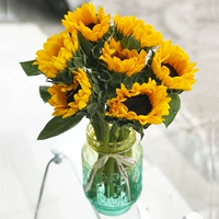 5 подсолнухи + свежий консервант