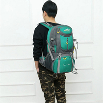 Mountaineering bag hiking camping bag luggage bag for men and women outdoor backpack fashion light trend 40L
