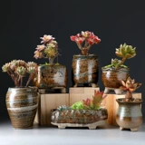 노장 노장 조도 조도 조도 에어 맥스 가정 창고 중 대 구경 작은 작은 조도기 조도기 화분.