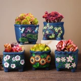 다육이 다육이 스님 스님 스님 아이디어 아이디어 신제품 사이즈 재고품 식물 은 2021. 사라지