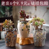 1 을 을 을 2021W 신상 고기 고기 창의 창의 적 조도 개성 있는 특가 도자기 무료 배송 재고품 재고품 사기 사발 사기 사기 사기 사기 사기