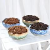 흙 잎이 에 심은 심은 영양 방법들 에 사라지고 흙 알갱이는 늘 진흙이 다육이 숯.