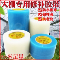 Tape repair Dapeng Dapeng greenhouse film repair special Dapeng repair film sticky repair plastic cloth repair glue