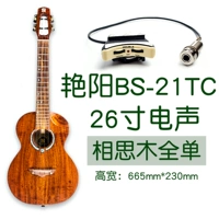 Модель электрической коробки BS-21TC (26-дюймовый угол)