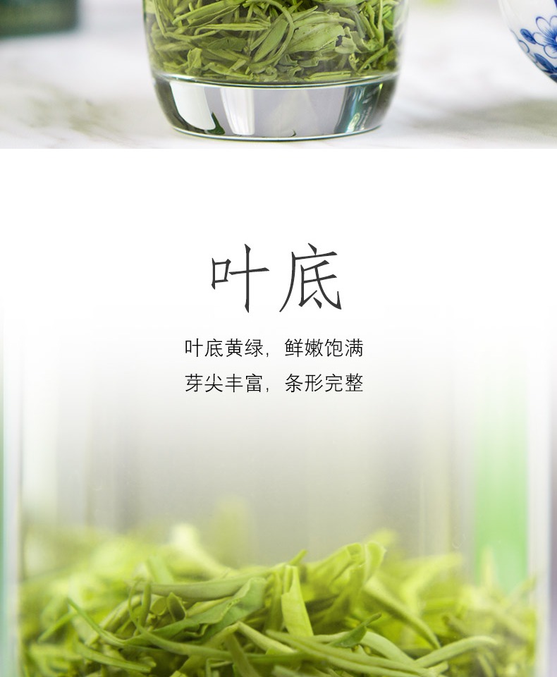 2021新茶汉中毛尖绿茶250g