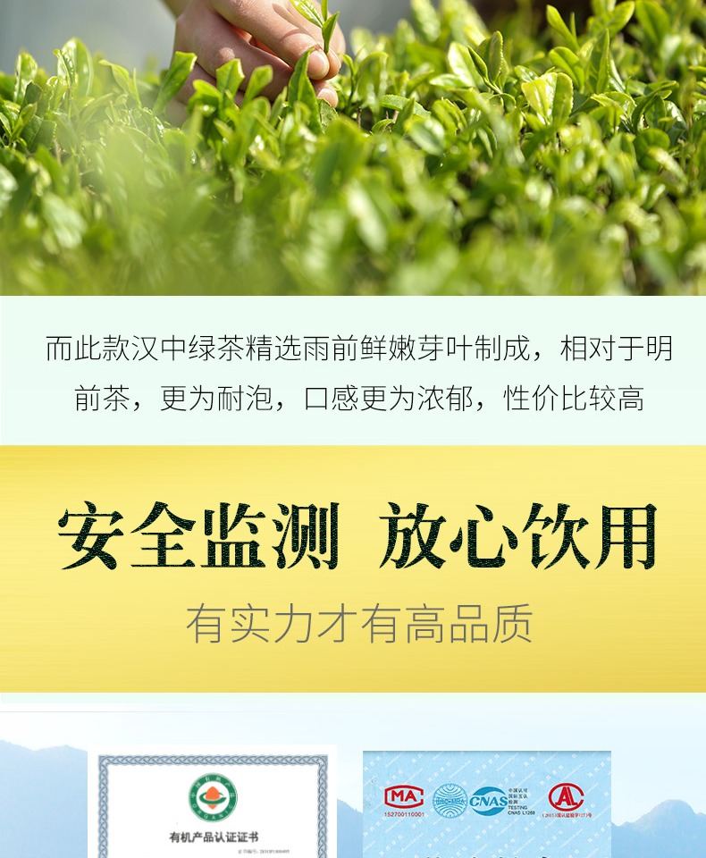 2021新茶汉中炒青绿茶250g