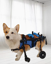 狗轮椅宠物后肢残疾瘫痪康复轮椅狗康复车动物辅助支架四轮代步车