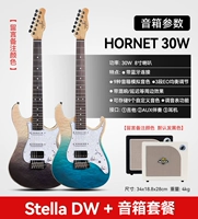 [Профессиональный матч] STELLA DW+MOOER HORNET 30W Динамик