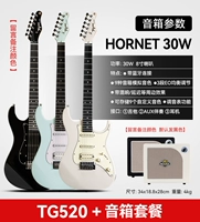 【Профессиональное соответствие 】【 TG-520】+ Mooer Bumblebee 30W Динамик