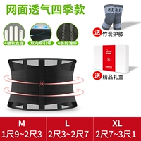 Menes, легкая и тонкая секция (черный)