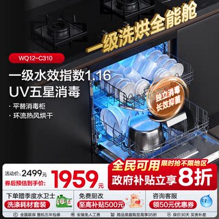 海信零菌洗碗机小型家用全自动嵌入消毒柜水槽独立式一体12套C310