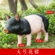 Đồ trang trí lợn dễ thương Trang trí sáng tạo bé trai và bé gái quà tặng sinh nhật mini lợn động vật nhựa trang trí máy tính để bàn