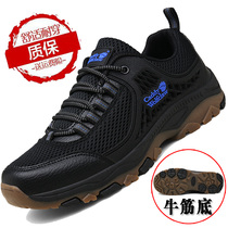 men's winter autumn hiking anti-slip tourist shoes black mesh breathable sports casual shoes