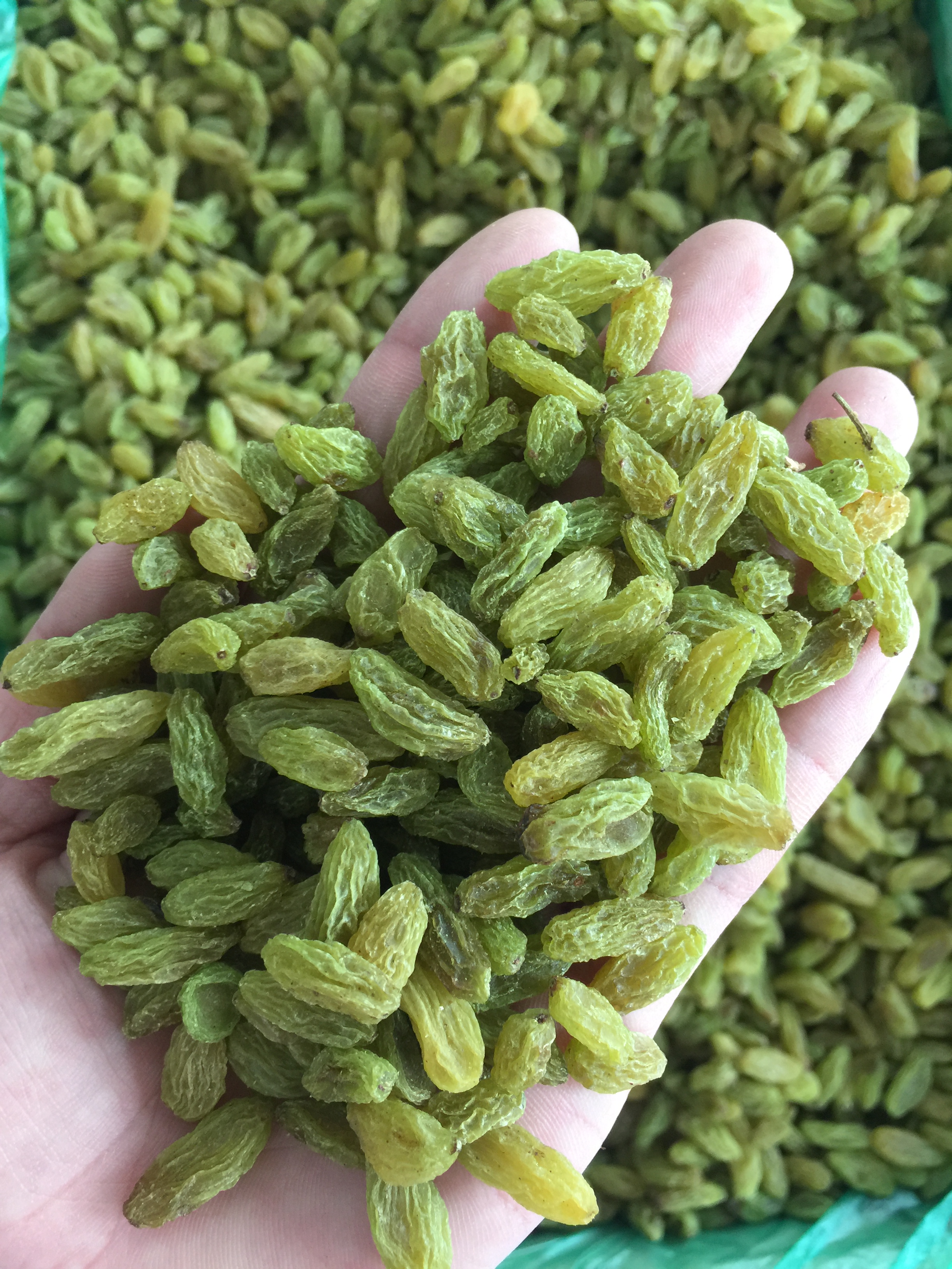 Xinjiang special production Turpan non - nuclear - white large green raisin bulk container net weight 18 kg